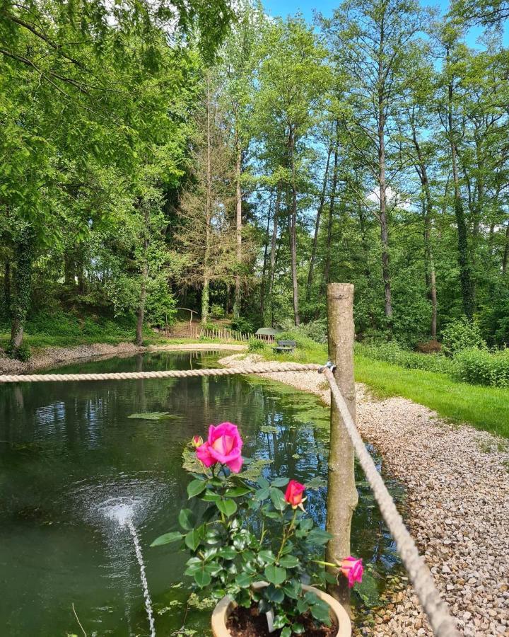 Maison Jenny Hotel Restaurant & Spa Hagenthal-le-Bas Exterior photo